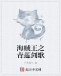 海贼王之青王txt
