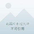 风起长安驭骨人靳岐