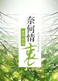 奈何情衷by沐声好看吗