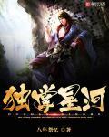 独尊星河顶点