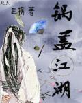 锅盖ver
