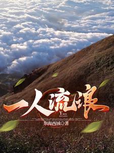一个人流浪是什么歌