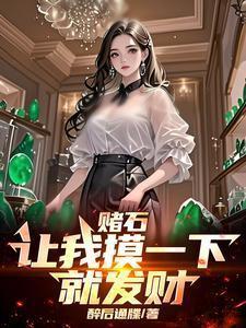 赌石片段