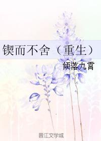 作者锲而不舍的