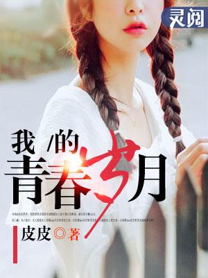 我的青春岁月电视剧
