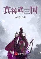 真武三国游戏